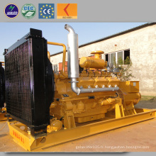 China Generator Supplier Electricity 300kw Biomass Power Generator